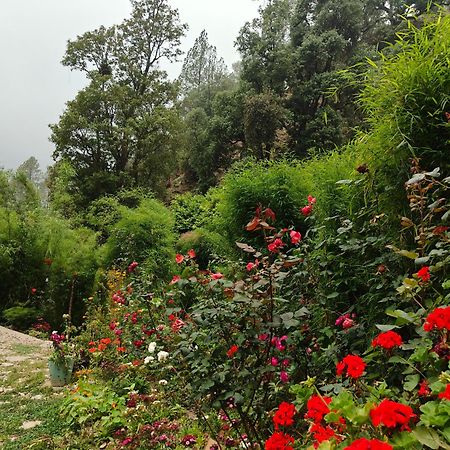 Himwanderer Camps & Cottages Pangot ناينيتال المظهر الخارجي الصورة