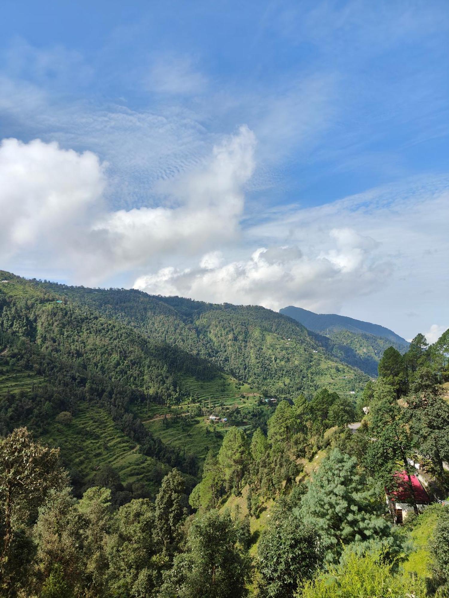 Himwanderer Camps & Cottages Pangot ناينيتال المظهر الخارجي الصورة