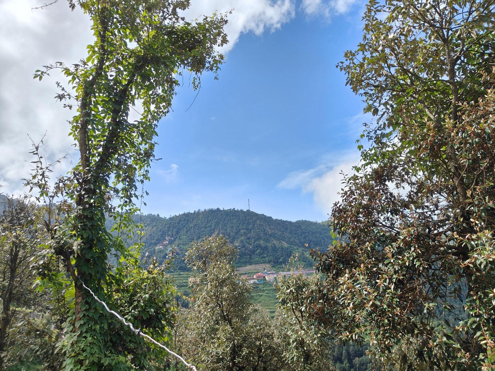 Himwanderer Camps & Cottages Pangot ناينيتال المظهر الخارجي الصورة