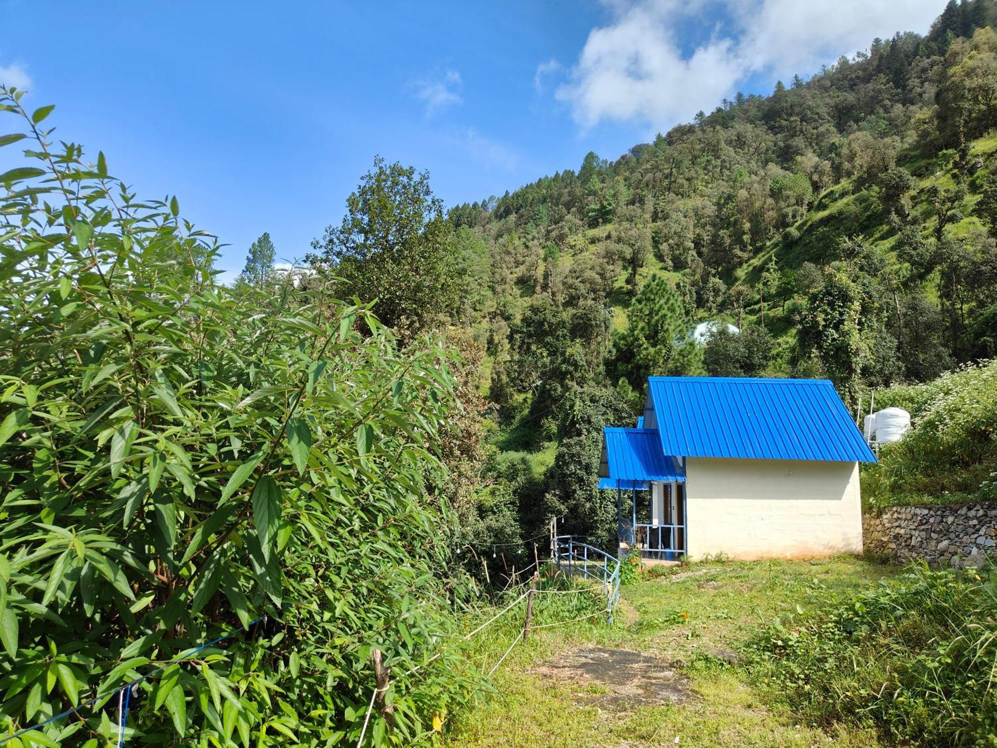 Himwanderer Camps & Cottages Pangot ناينيتال المظهر الخارجي الصورة