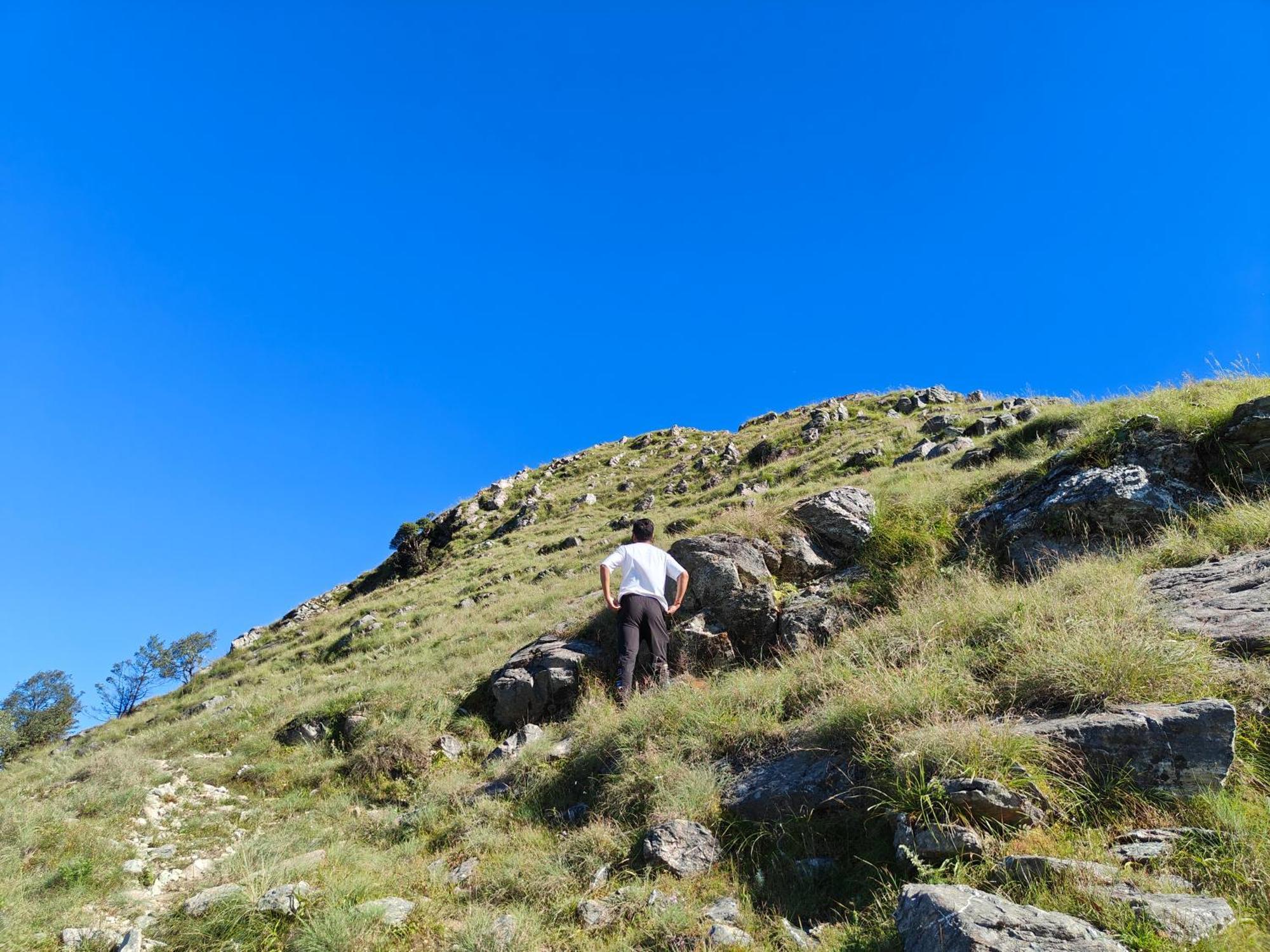 Himwanderer Camps & Cottages Pangot ناينيتال المظهر الخارجي الصورة
