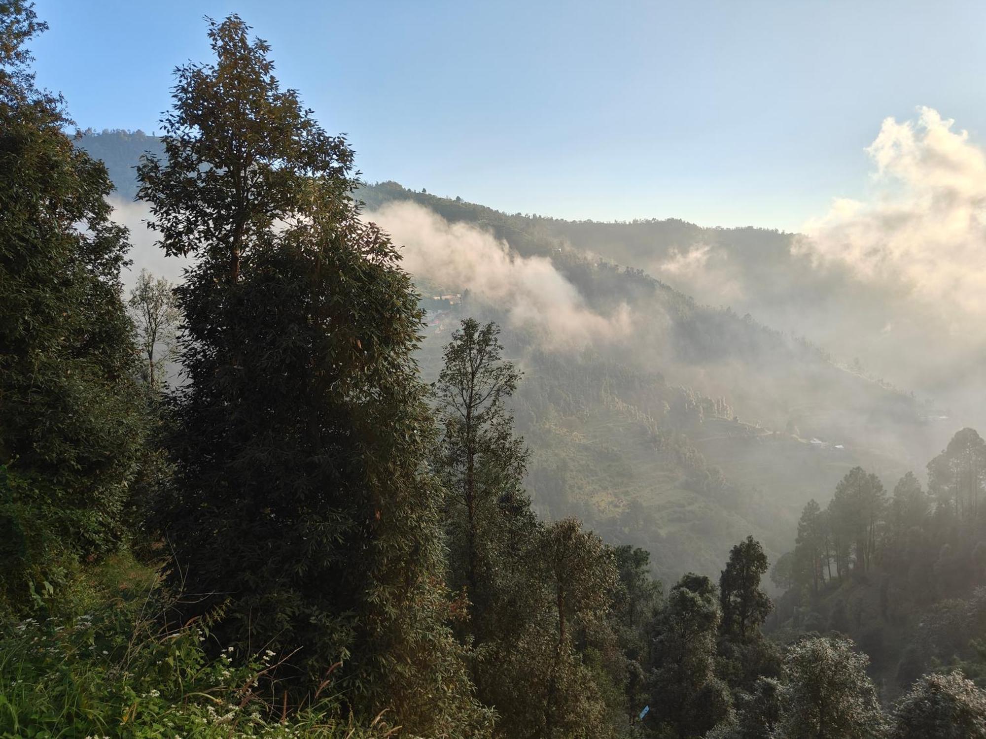 Himwanderer Camps & Cottages Pangot ناينيتال المظهر الخارجي الصورة