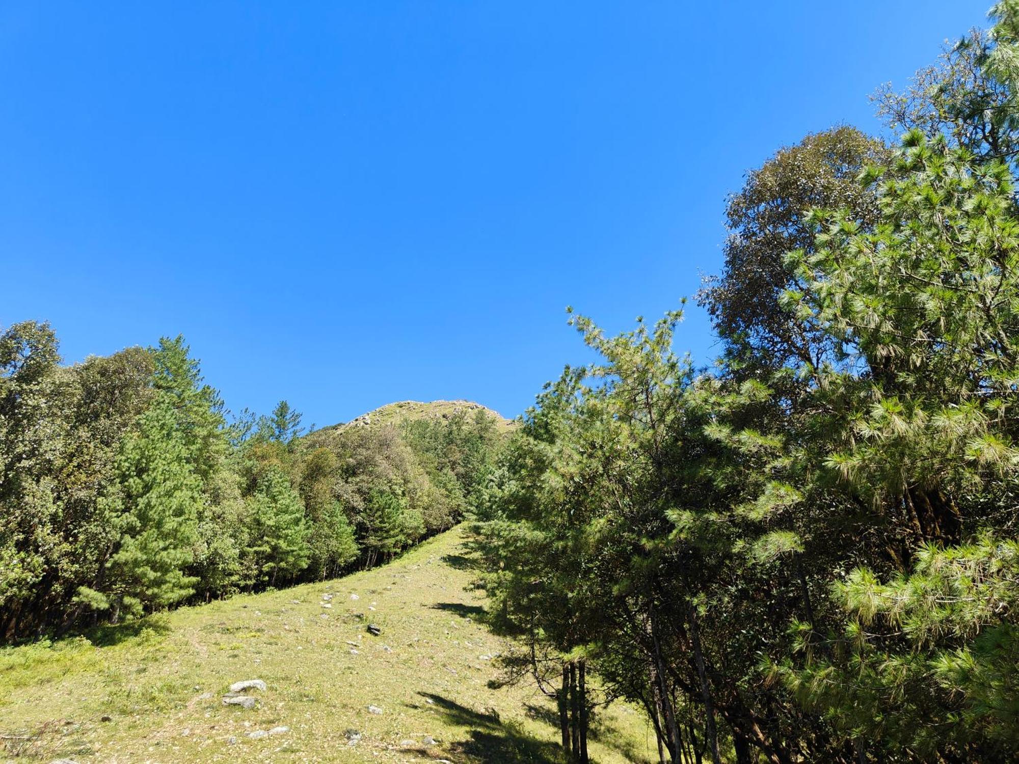 Himwanderer Camps & Cottages Pangot ناينيتال المظهر الخارجي الصورة
