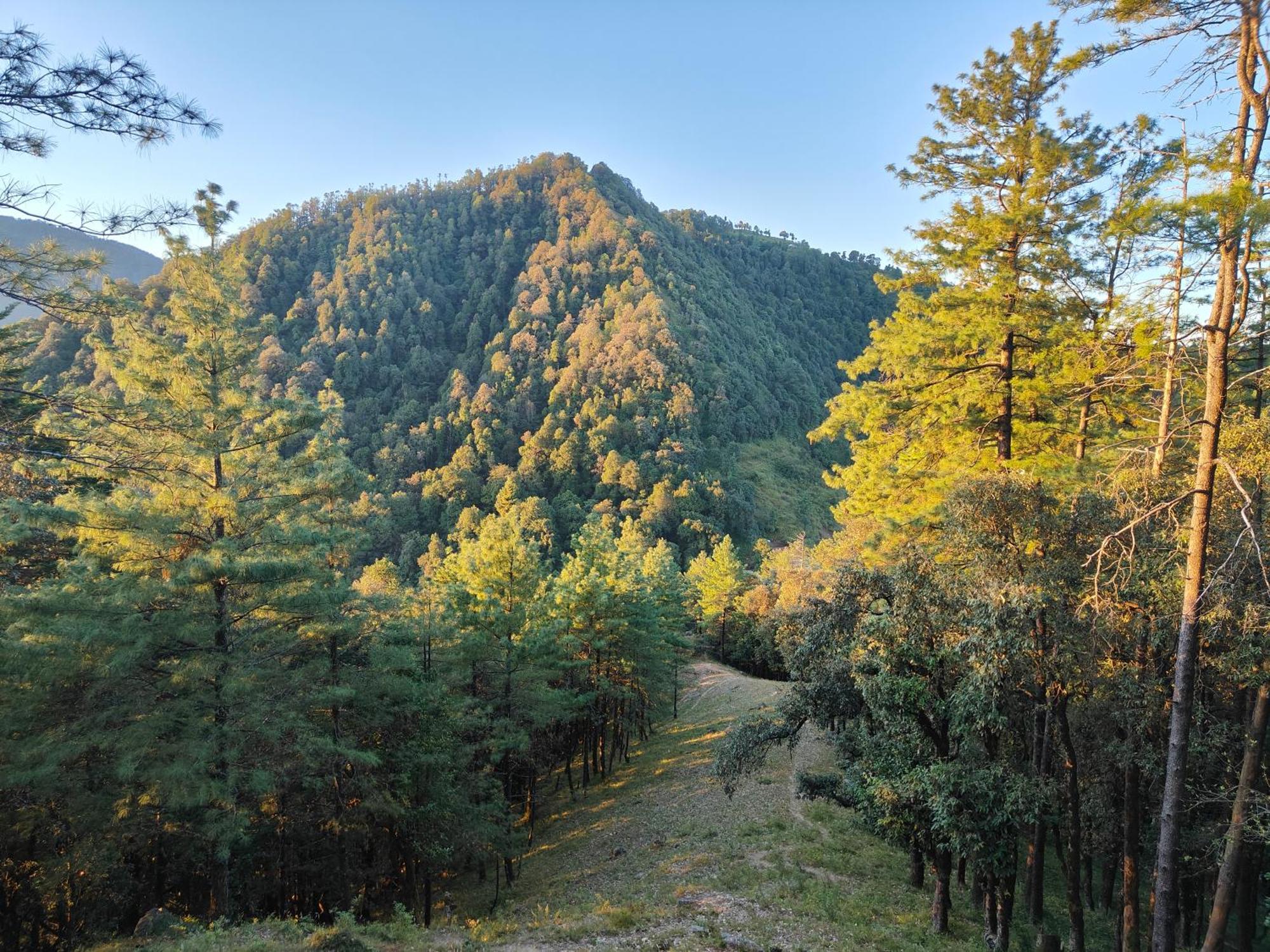 Himwanderer Camps & Cottages Pangot ناينيتال المظهر الخارجي الصورة