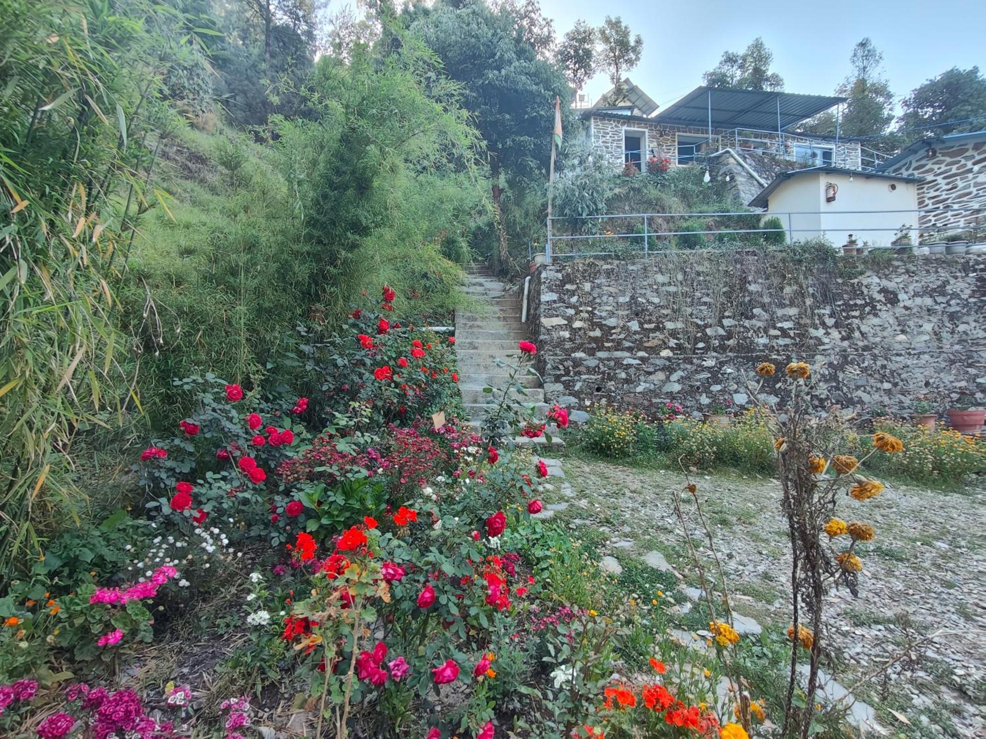 Himwanderer Camps & Cottages Pangot ناينيتال المظهر الخارجي الصورة