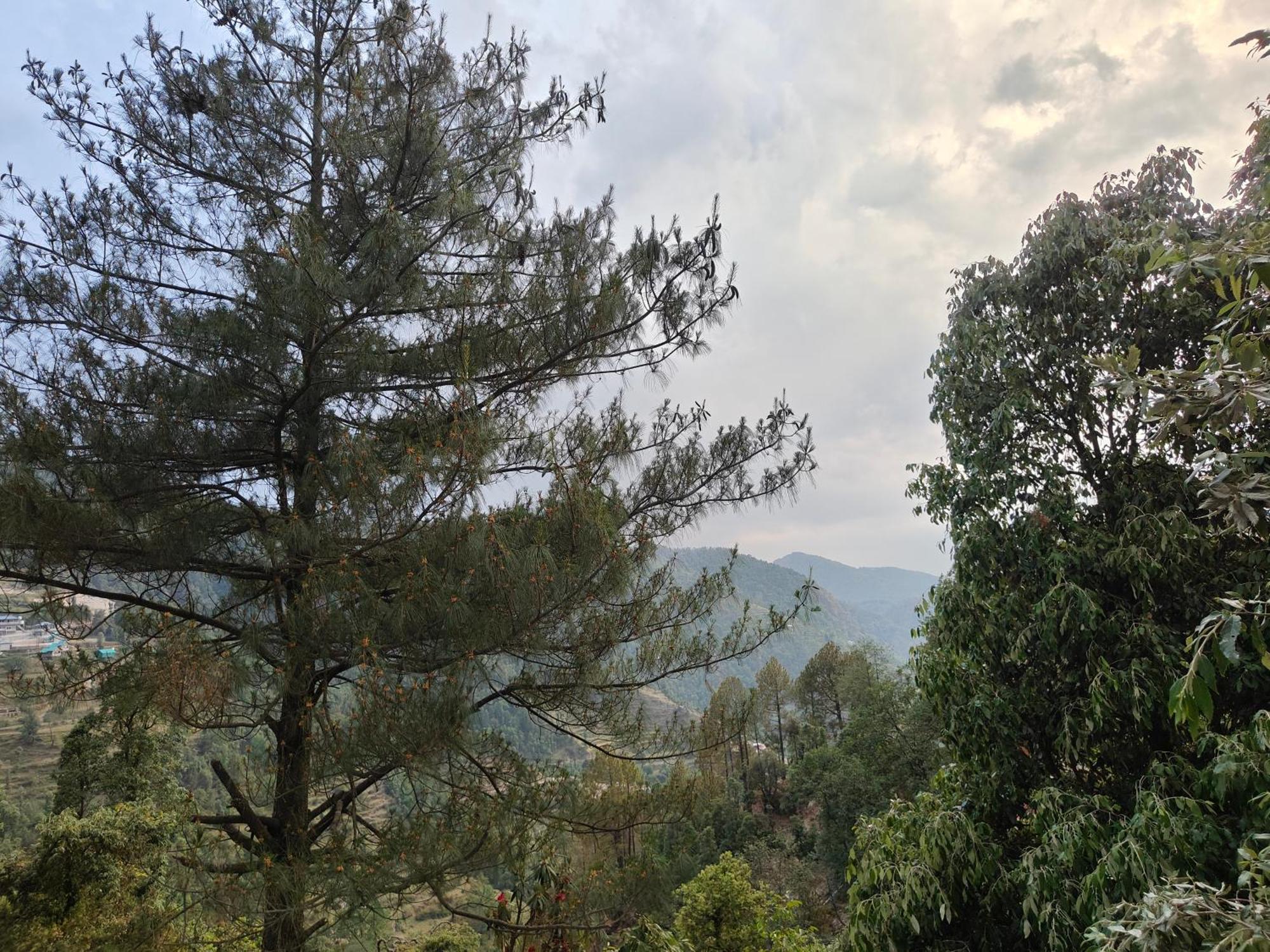 Himwanderer Camps & Cottages Pangot ناينيتال المظهر الخارجي الصورة